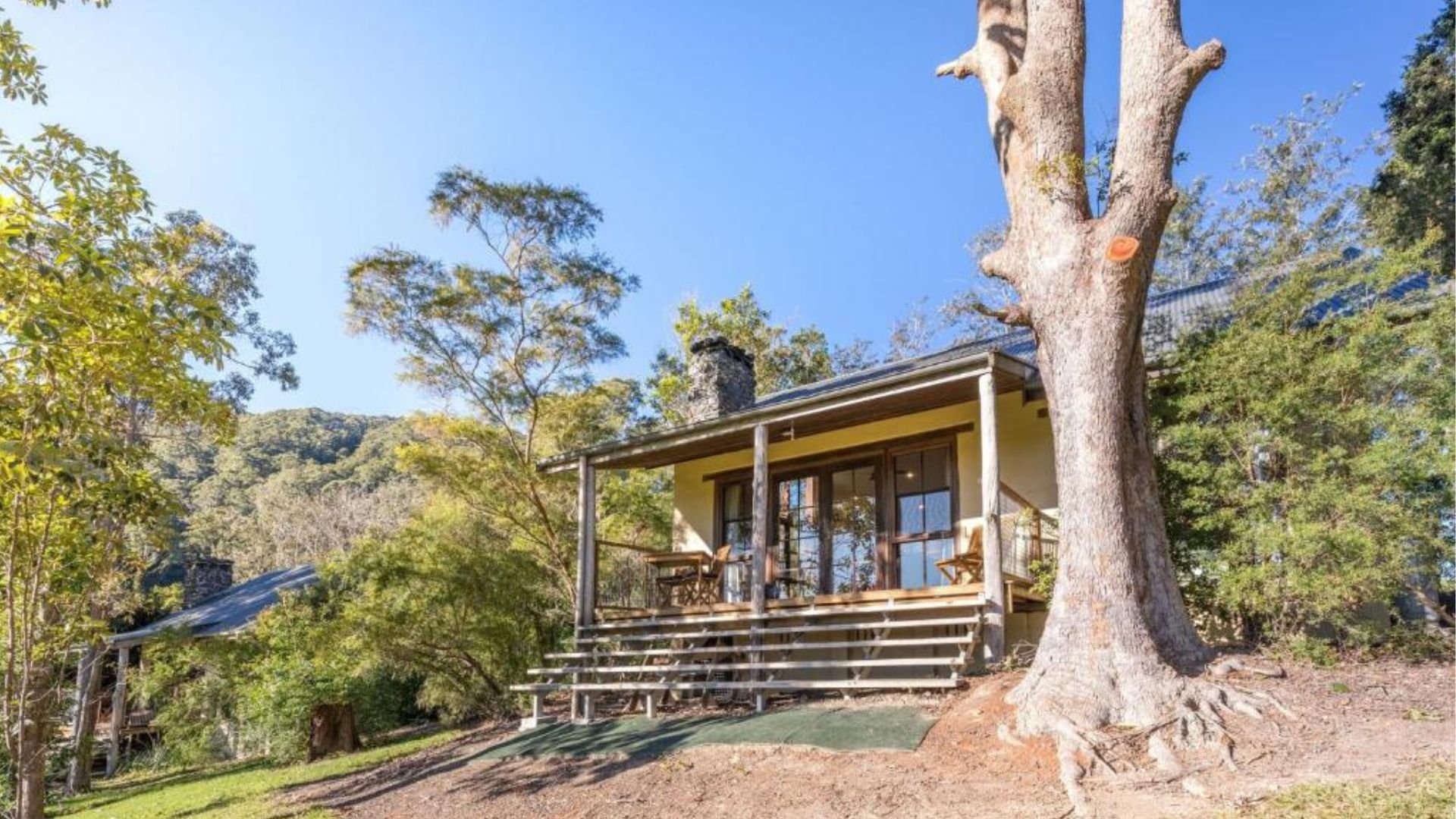 Friday Creek Retreat Coffs Harbour pet friendly