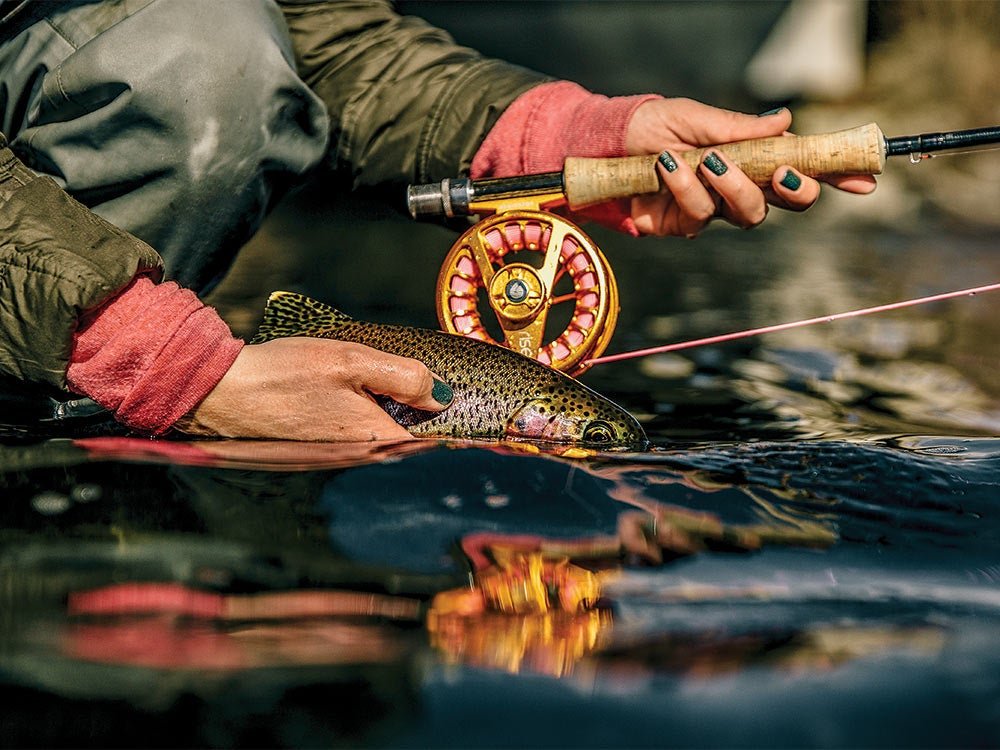 Dorrigo Trout Tours