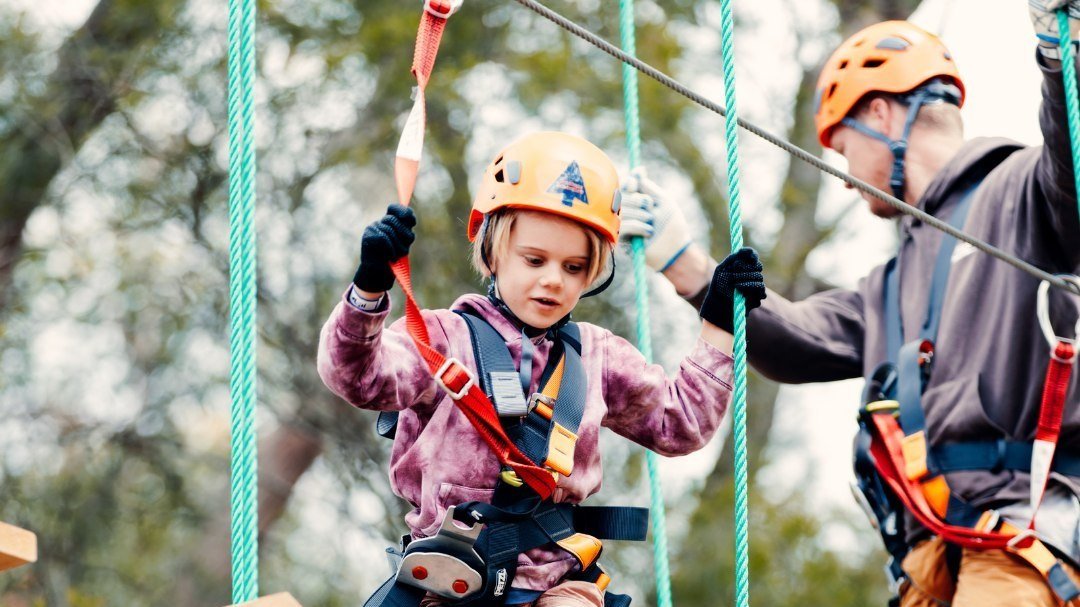 treetops adventure things to do kids coffs harbour NSW